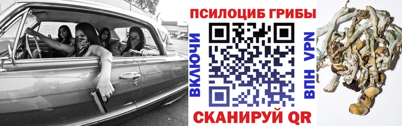 Псилоцибиновые грибы Psilocybe  Баймак 